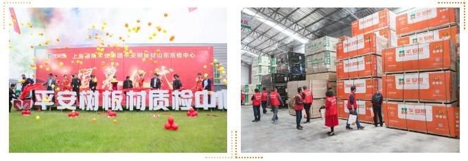 平安树品牌再度以CHM系统为理念基础开启系列沙龙大美临沂等你来！