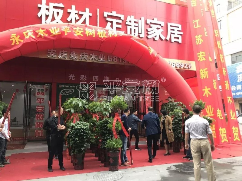 热烈祝贺平安树安庆客户答谢会圆满召开！