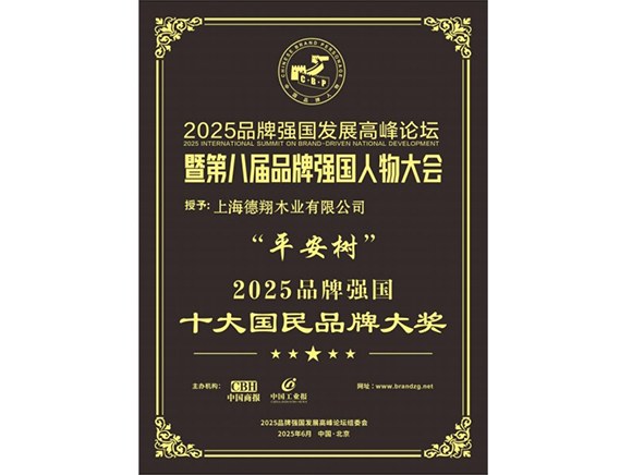 2025品牌强国十大国民品牌